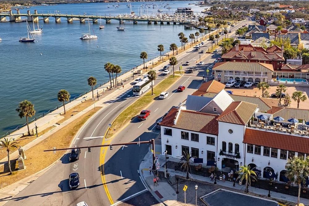 Aerial view of a coastal road lined with palm trees, overlooking a marina with boats.