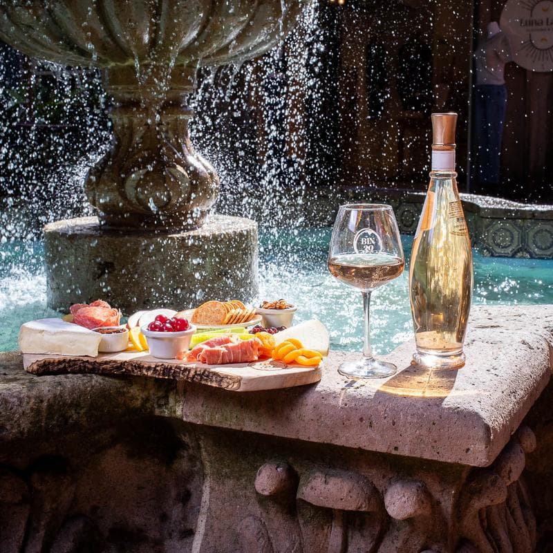 A wooden platter with assorted cheeses, meats, fruits, and snacks beside a glass of wine and a bottle, set against a fountain backdrop.