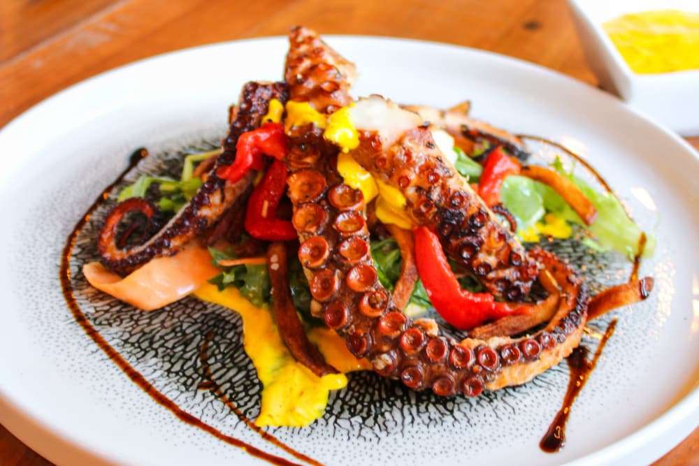 Grilled octopus served on a bed of greens with red peppers and a yellow sauce.