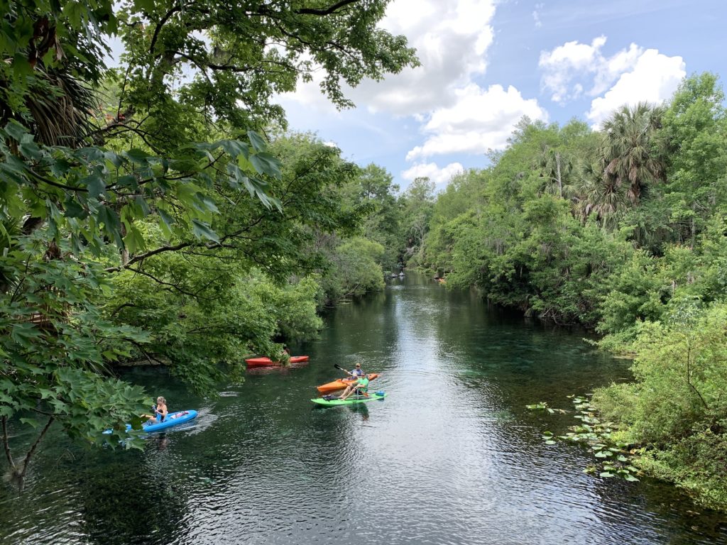 Group kayaking in a St. Augustine forest